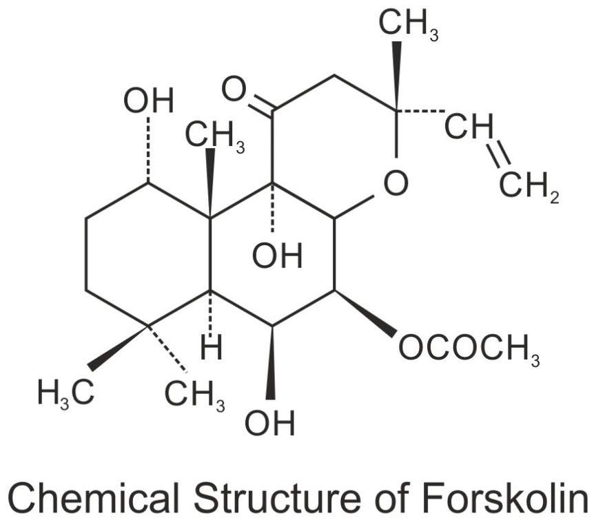 forskolin