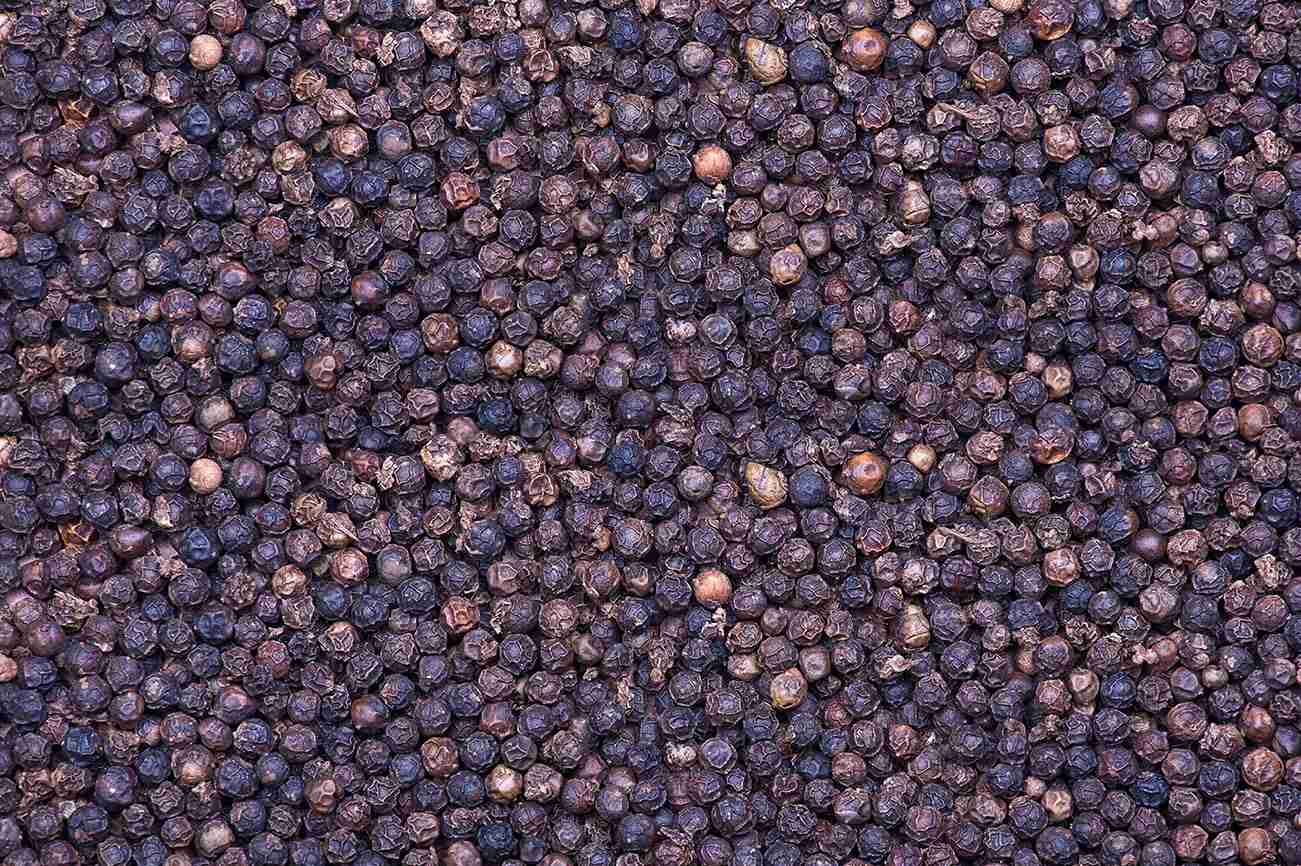 forslean-press-release